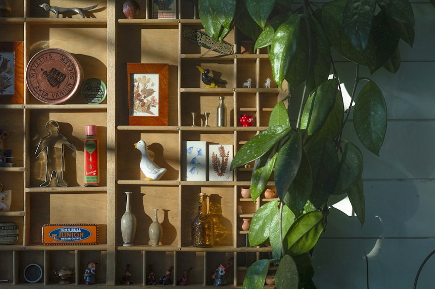 noveny akkor szomjazik 03