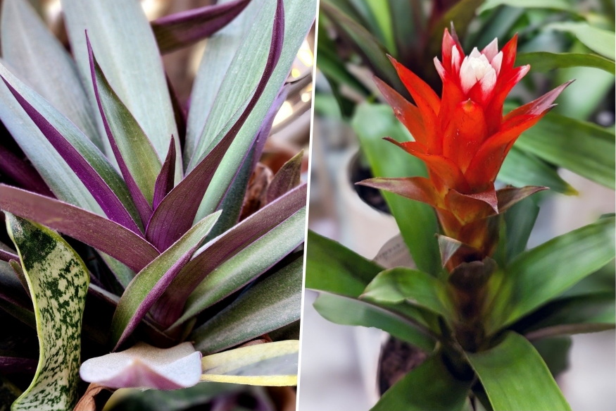 teli ablakparkany mit bir el 02