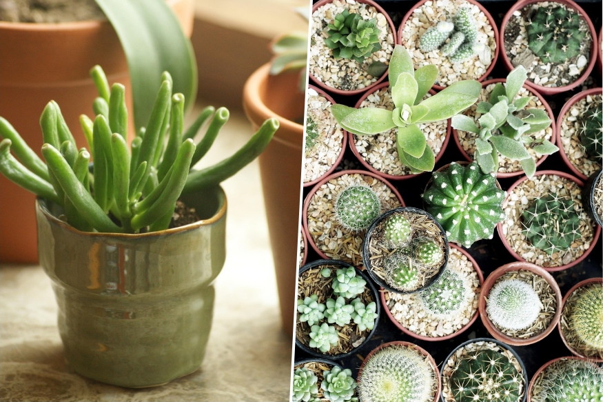 teli ablakparkany mit bir el 05