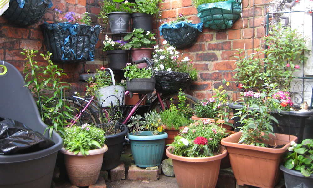 Fagyok jönnek! – Kerti pánikgomb a valóságban