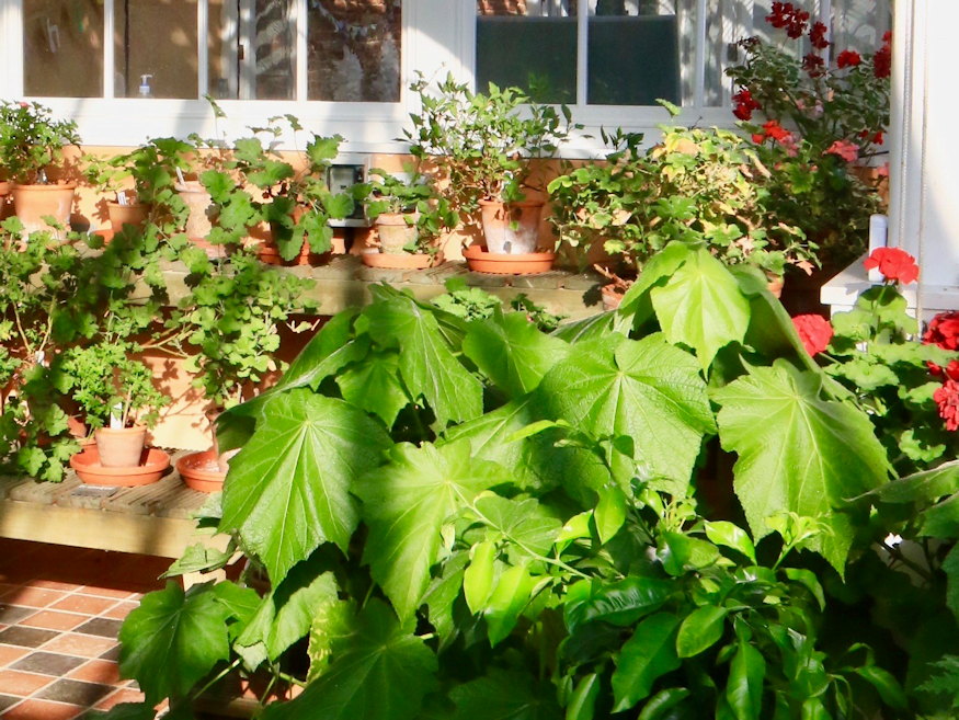 fagyok jonnek panikgomb 03