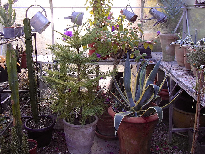 fagyok jonnek panikgomb 04