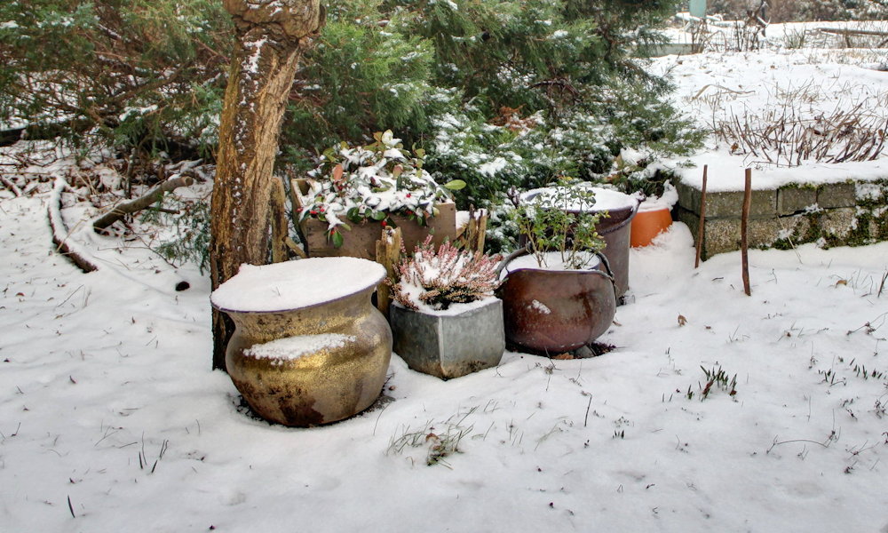 7 dolog, amit mindenki rosszul csinál a fagyvédelemben – és hogyan kerüld el őket