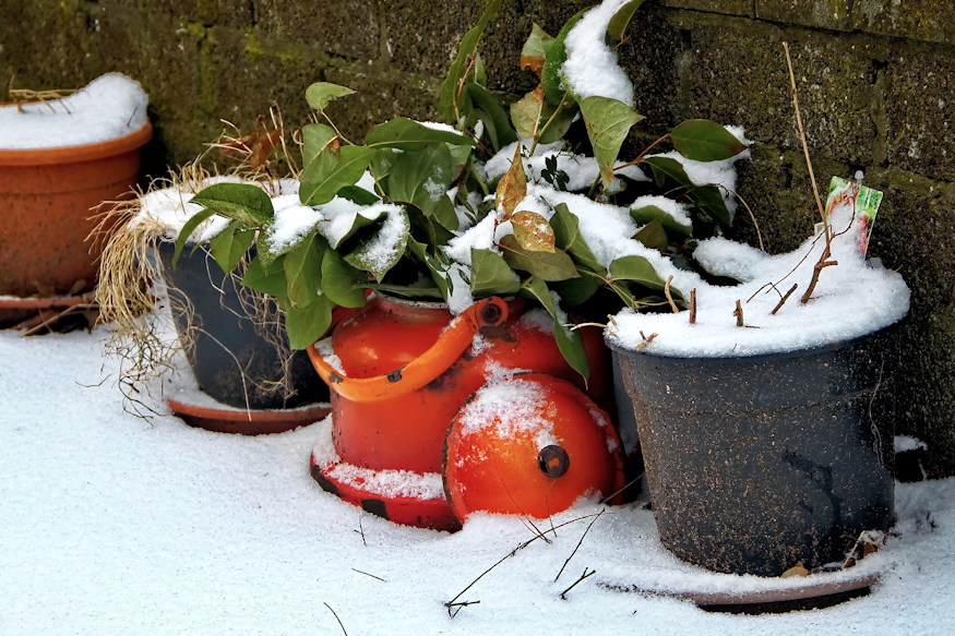 Rosszul Csinal Fagyvedelemben 02