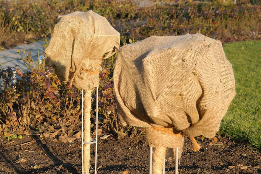 rosszul csinal fagyvedelemben 04