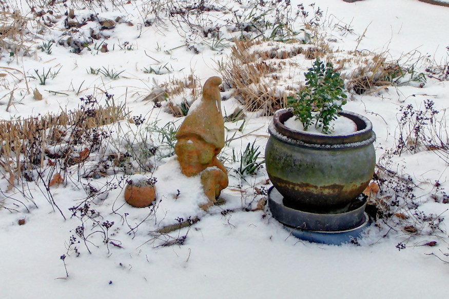 rosszul csinal fagyvedelemben 05