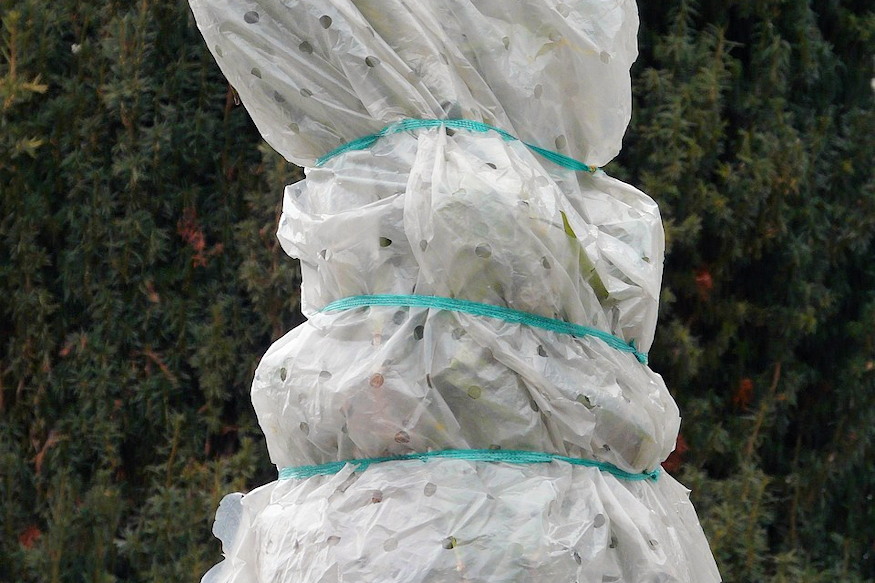 rosszul csinal fagyvedelemben 06