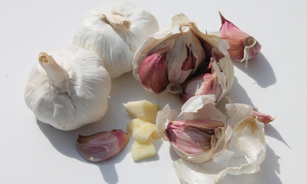 A fokhagyma bosszúja – miért nem szereti a műtrágyát?