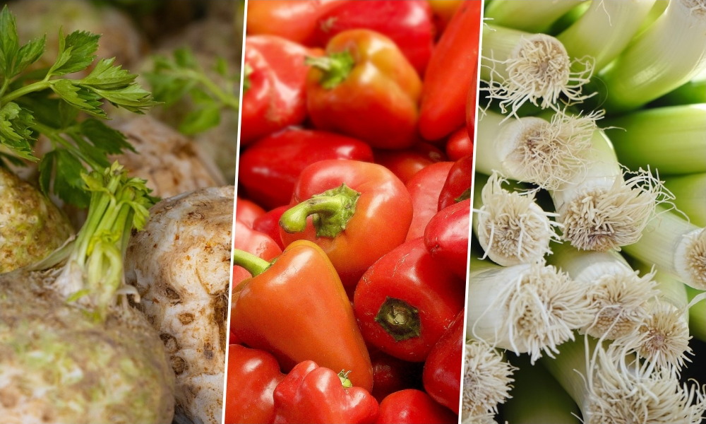 3 zöldség, amit februárban már bent elvethetsz – és 2, amit még ne