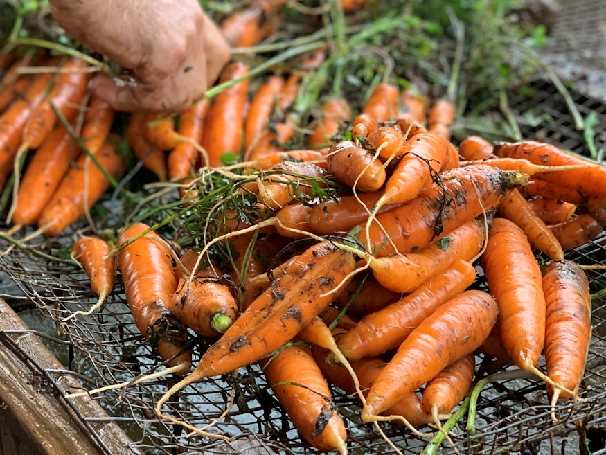 kicsi konyhakerted 3 zoldseg 04