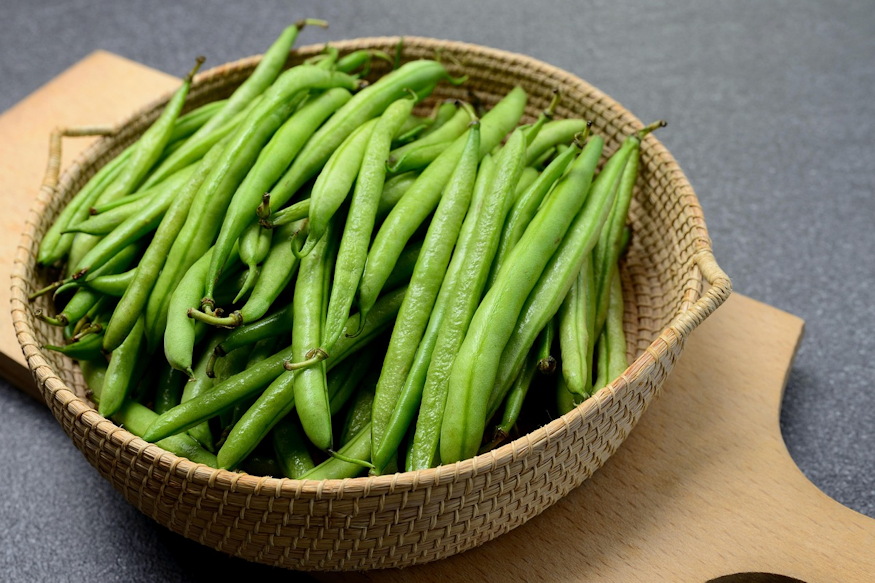 tobbet terem ha naponta szuretelem 04