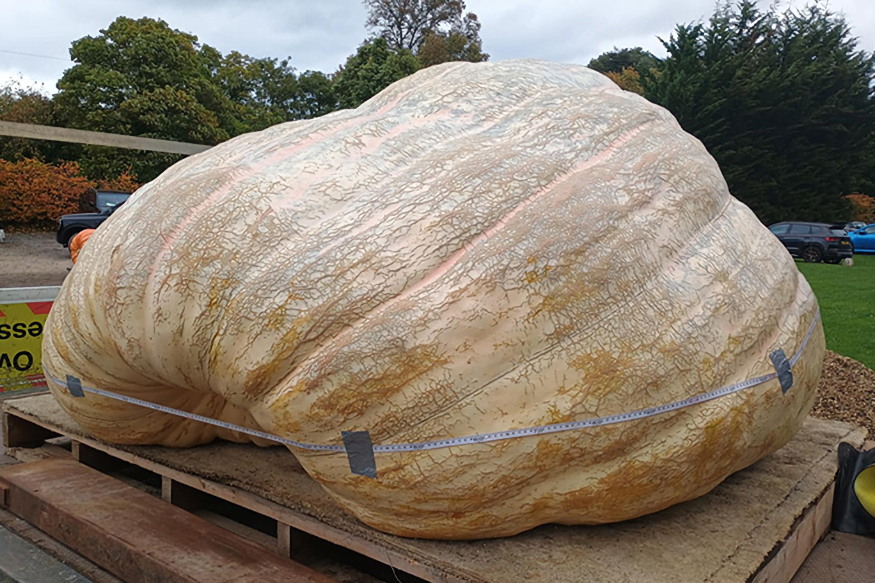 tok tobb szaz kilos 02