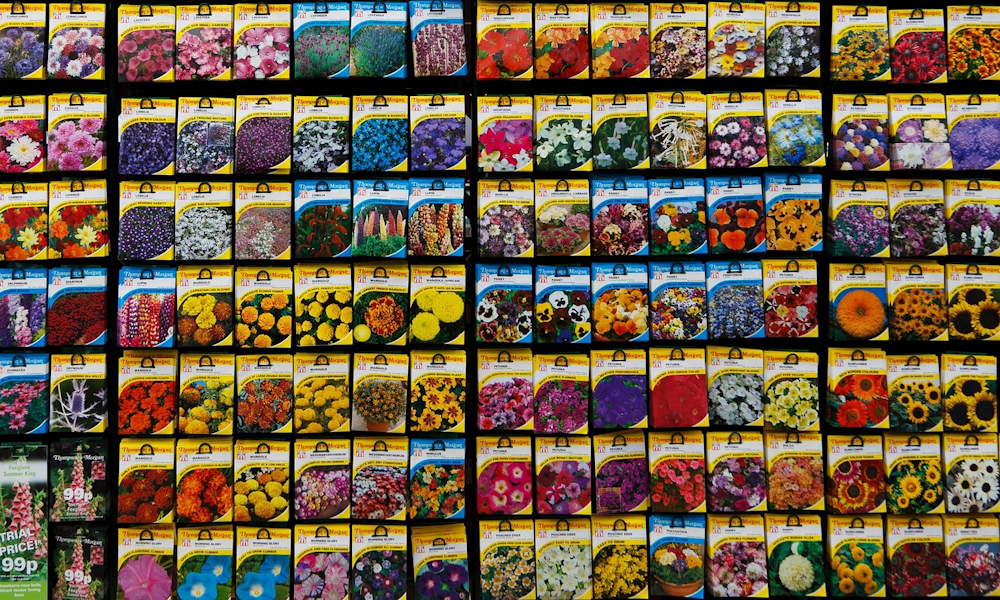 Vetőmagok, amik most is foglalkoztatnak – mire jó a téli átnézés?