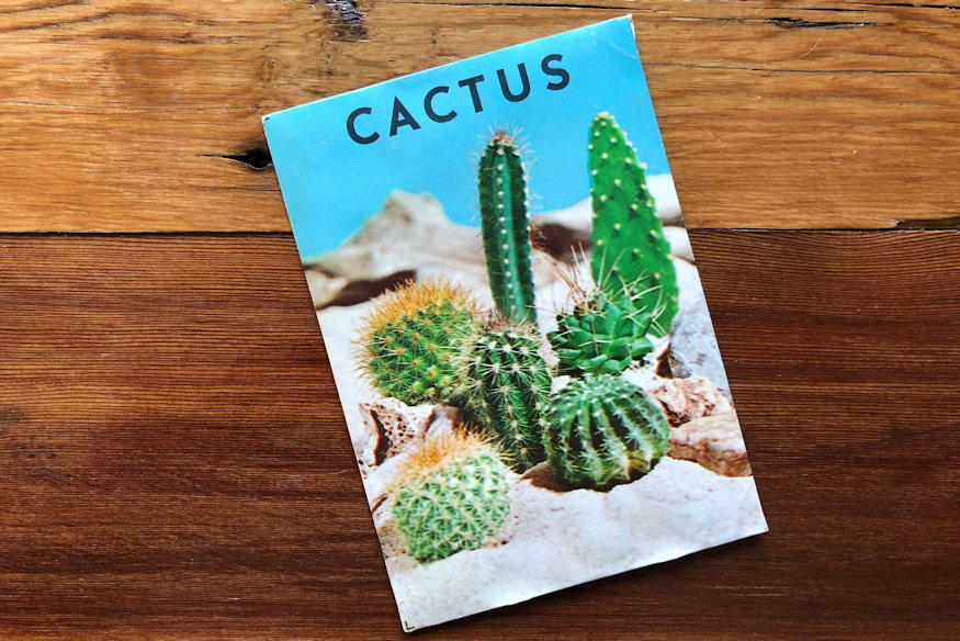 vetomagok teli atnezes 03