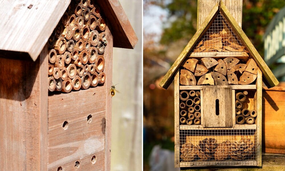 Méhecskehotellel segíthetjük a beporzókat és bepillanthatunk az életükbe is