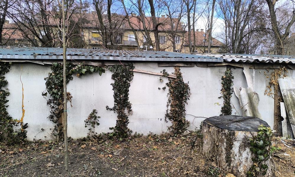 Fa a garázs mögé 130 centire