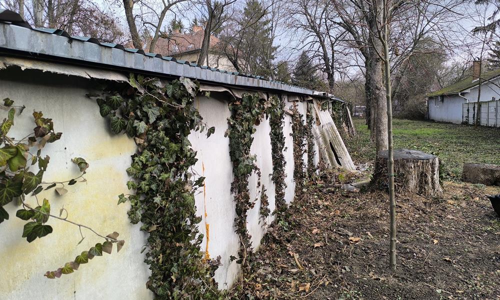 Fa a garázs mögé 130 centire