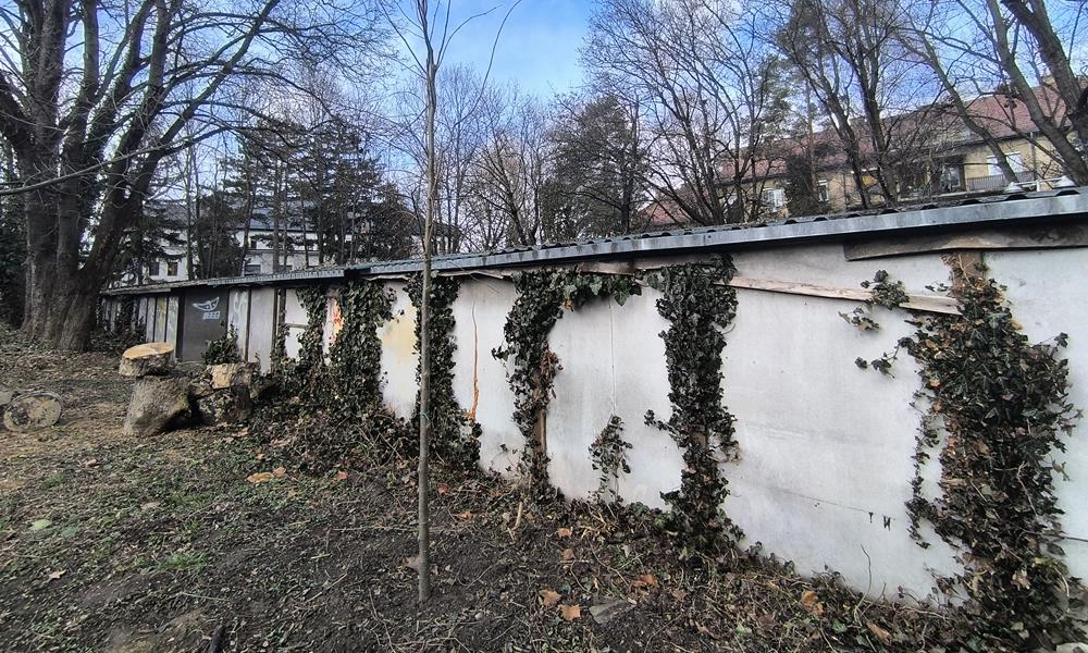 Fa a garázs mögé 130 centire