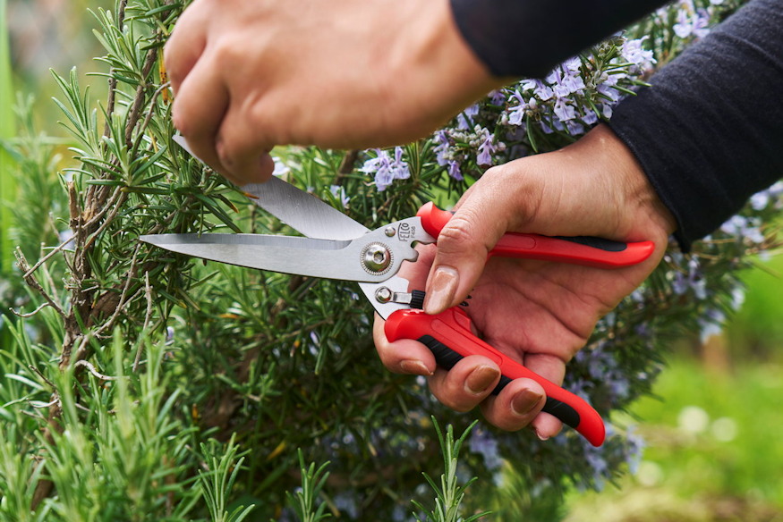 felco 456 kertesz mindenese 04