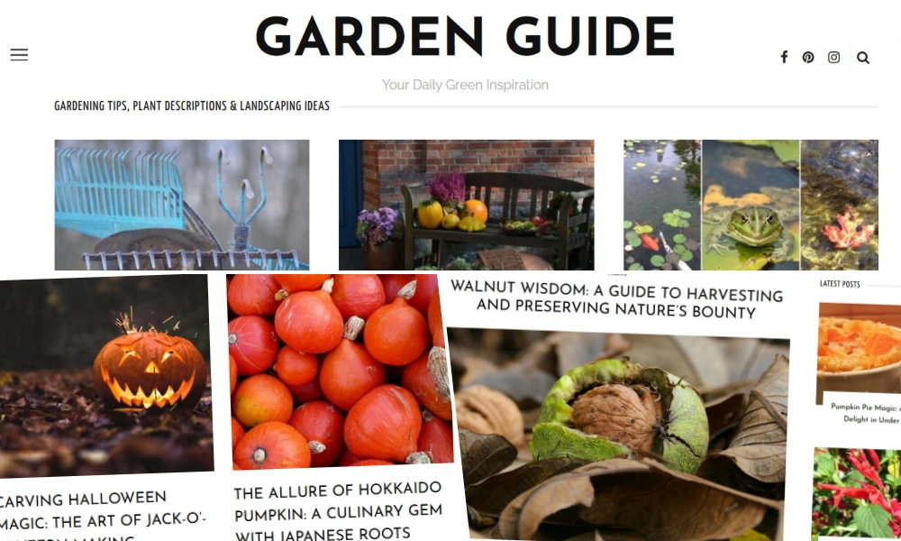 Garden Guide: Kertészeti inspiráció és tudástár egy kattintásnyira