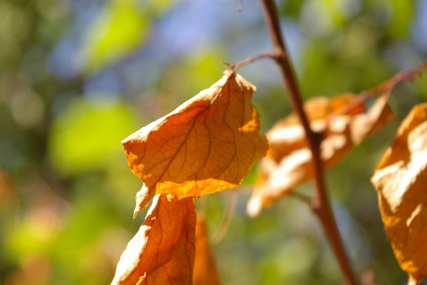 klimavaltozas hatasai olvasoi tapasztalatok 03