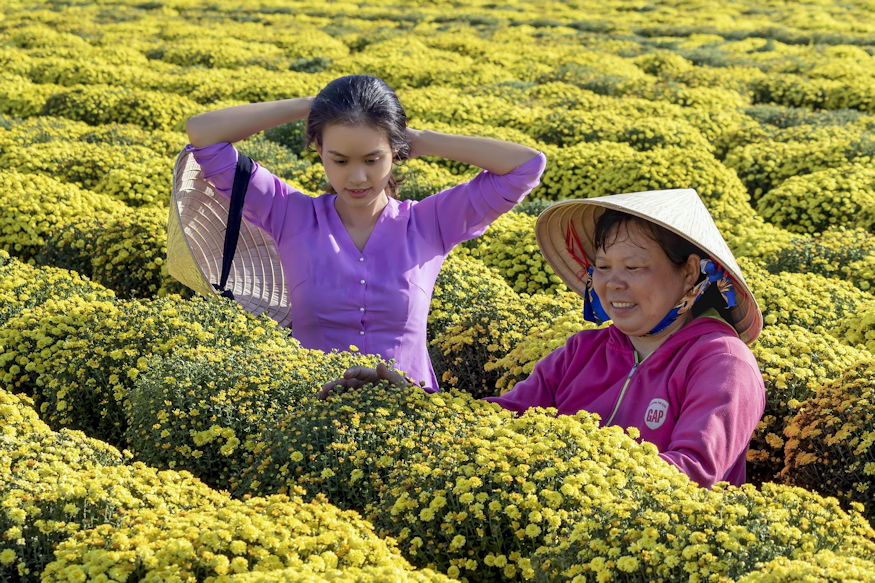 krizantemok csonakbol 05