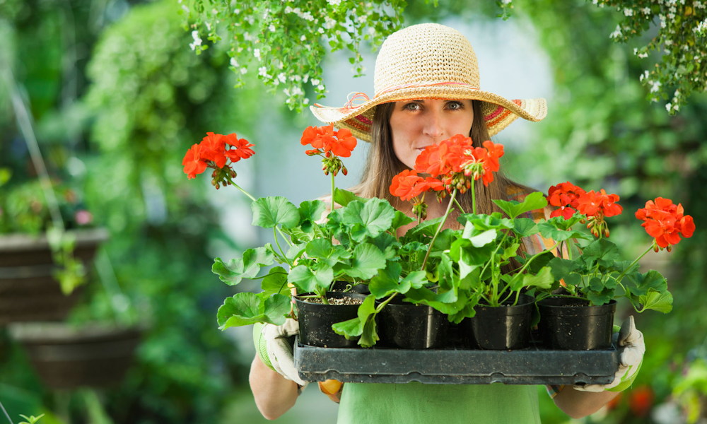 Milyen újdonságot tervezel idén a kertedben? – megkérdeztük Olvasóinkat