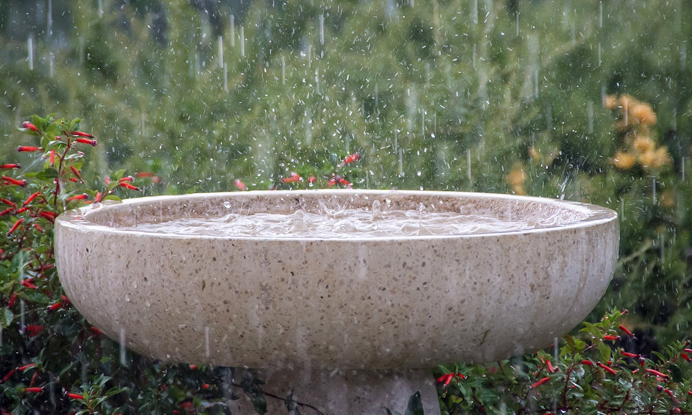Nyári esők: mit okoz egy évszaknyi víz egy hét alatt a kertben?