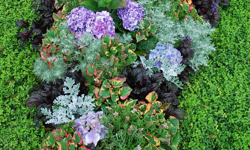 A sírra ültethető leggyakoribb növények gondozása – élő emlékezés minden évszakban