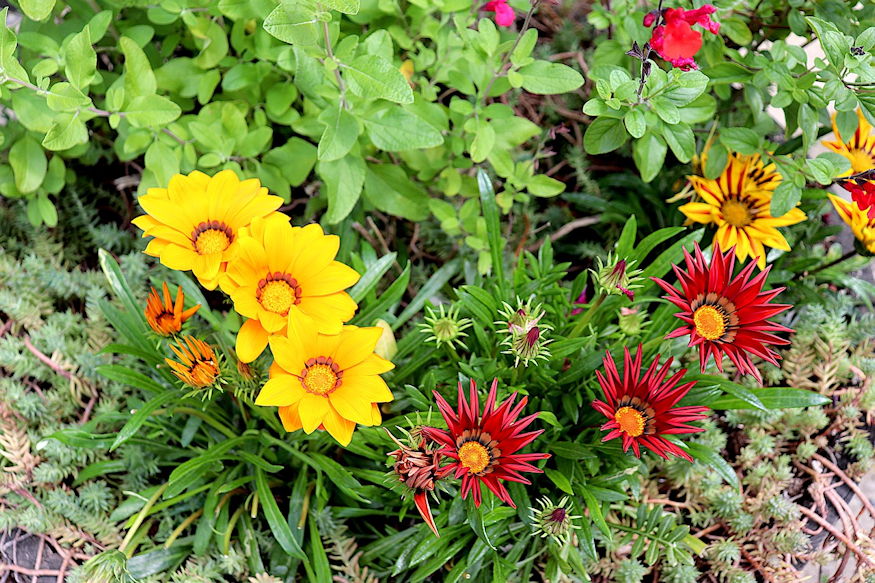 sirra ultetheto leggyakoribb 10