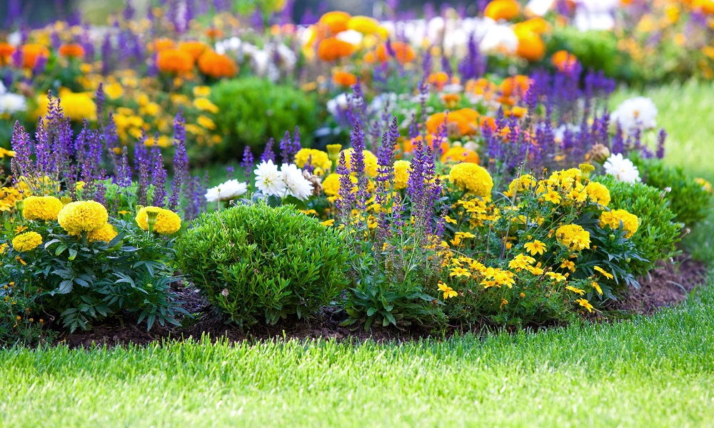 A Wuxal® Super – Az univerzális Tápoldat, amely kertészkedésünket új szintre emeli