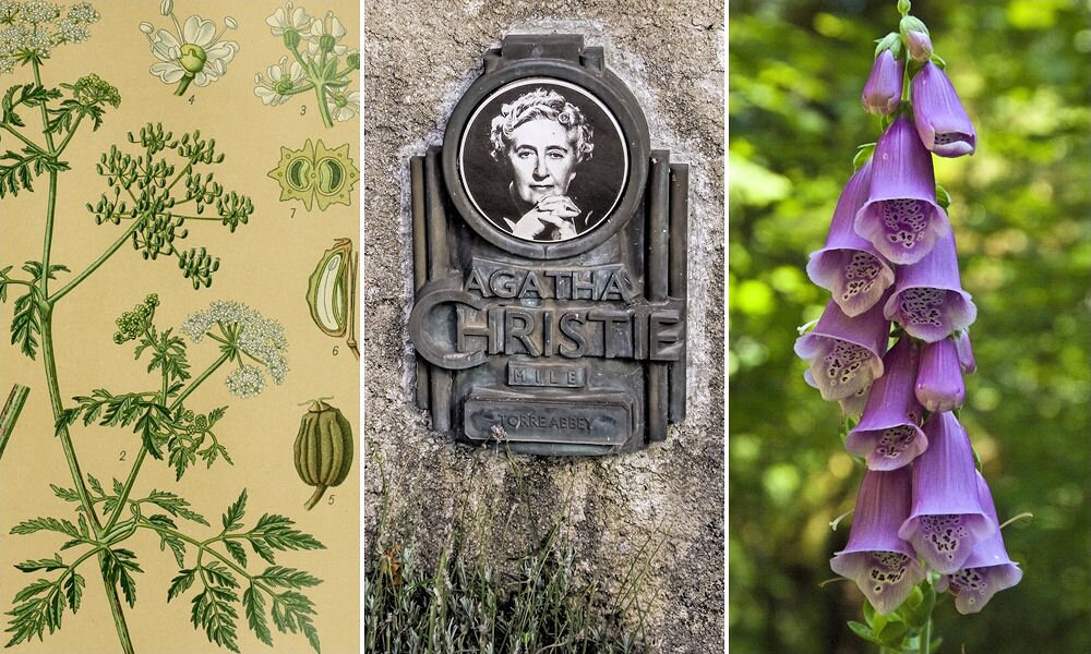 Honnan ismerte Agatha Christie a mérgező növényeket?