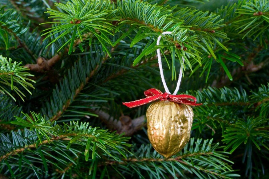 Honnan jött a karácsonyfa ötlete?