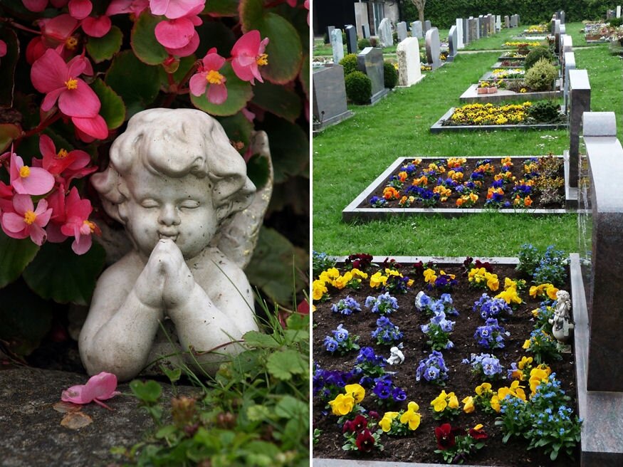 Temetői növények: milyen virágot ültessünk szeretteink sírjára?