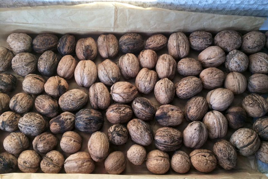 diobol peneszbomba 02