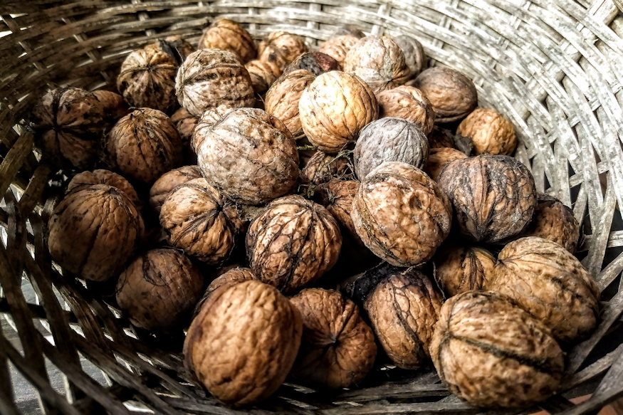 diobol peneszbomba 04