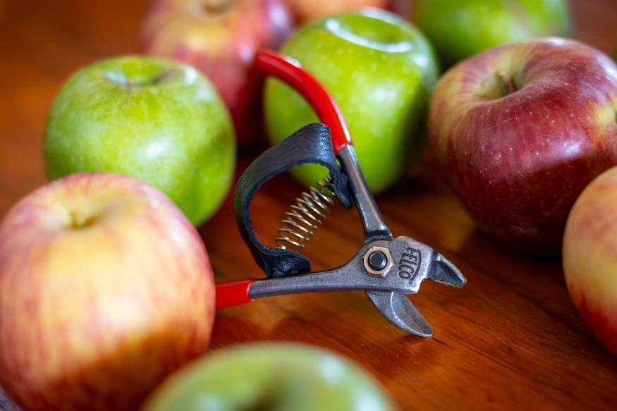 felco 330 gyumolcsbarat ollo 02