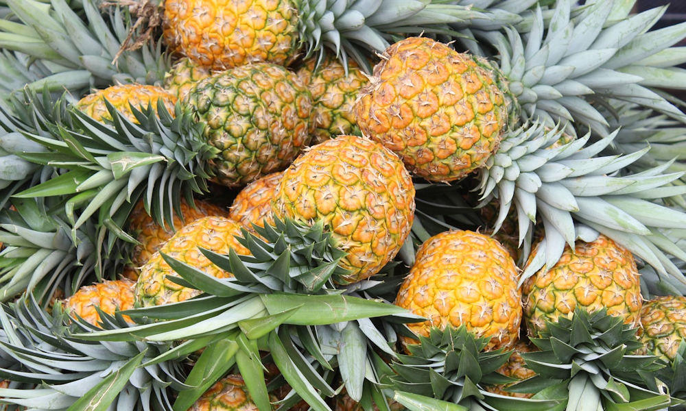 Az ananász szaporítása otthon: így lesz 6 lépésben új növény az üstökéből!