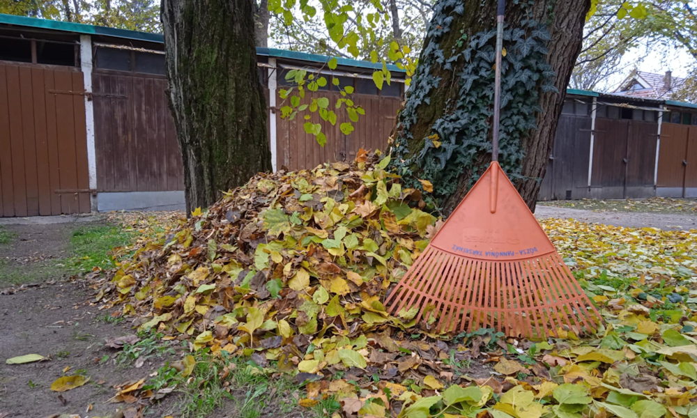 Mulcsozás vagy zsákolás? Kerti viták a társasház udvarán