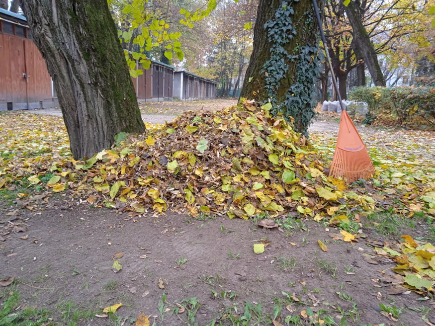 mulcsolas vagy zsakolas 11