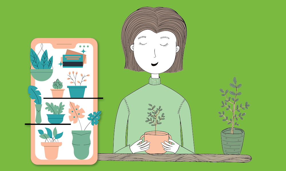 Zöld ötletek külföldi növényekhez: tippek a tudatos vásárláshoz és kertvédelemhez