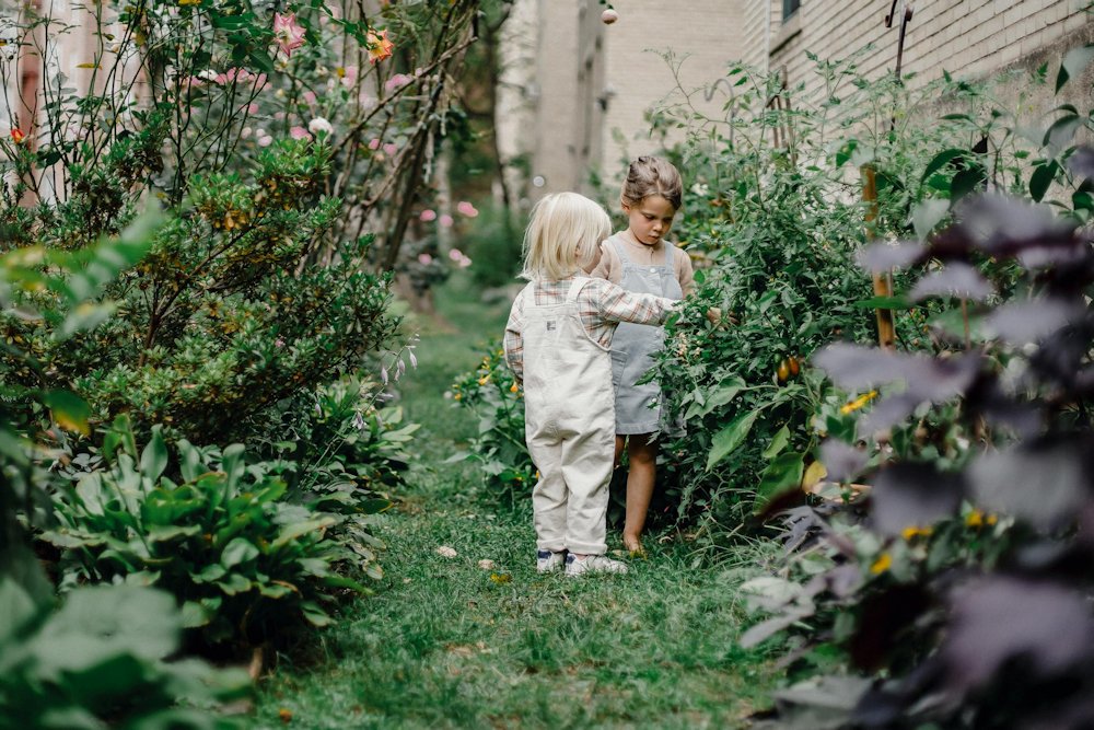 Nagyvilág vagy kiskert – járnak-e gyerekek a kertben a 21. században?