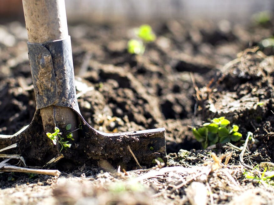 Ilyen könnyen elhagyható a kertben a fárasztó ásás?