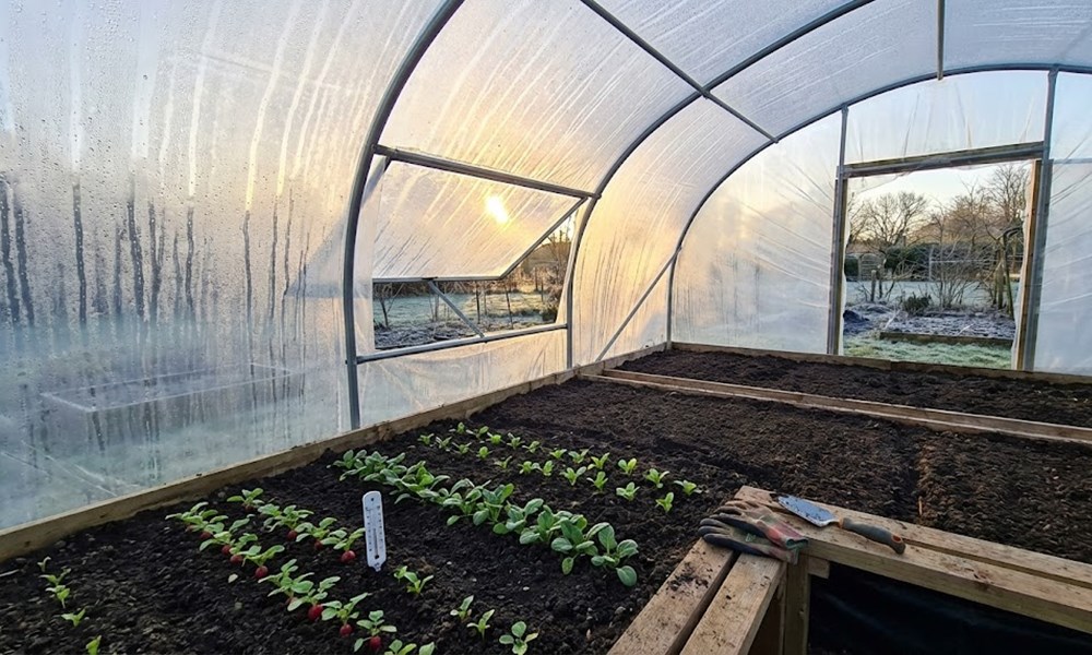 Fólia alatt induló szezon – tényleg előrébb járunk február végén?