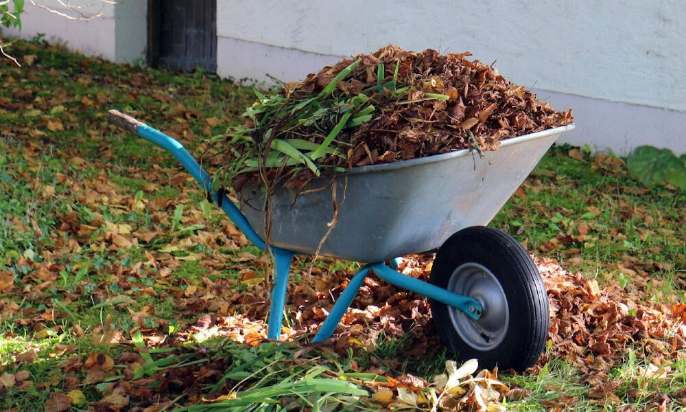 A komposztra dobhatjuk a beteg növényeket?