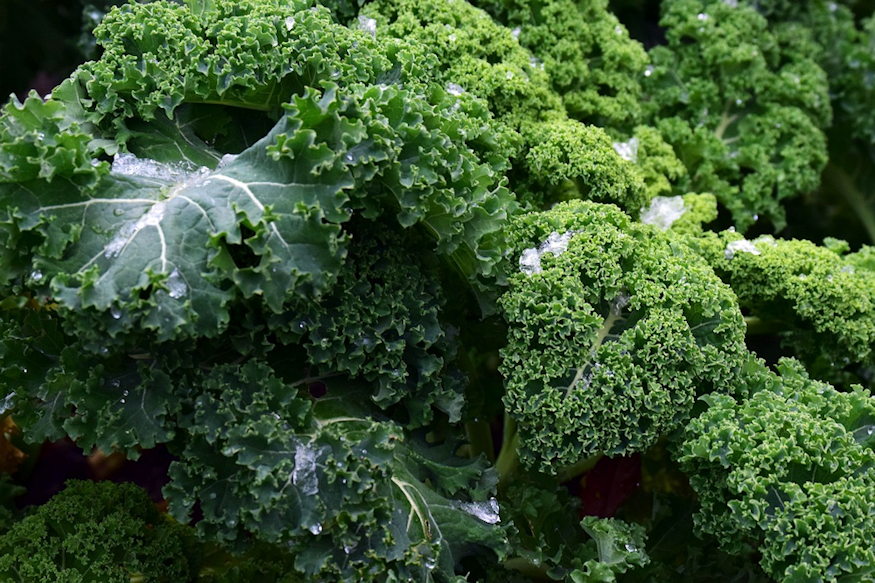 konyhakert nem zar be 02