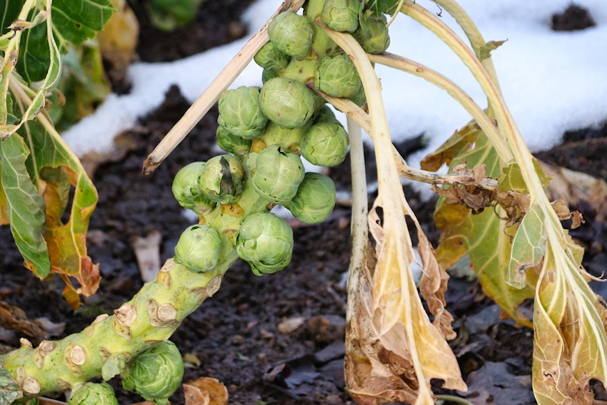 konyhakert nem zar be 04