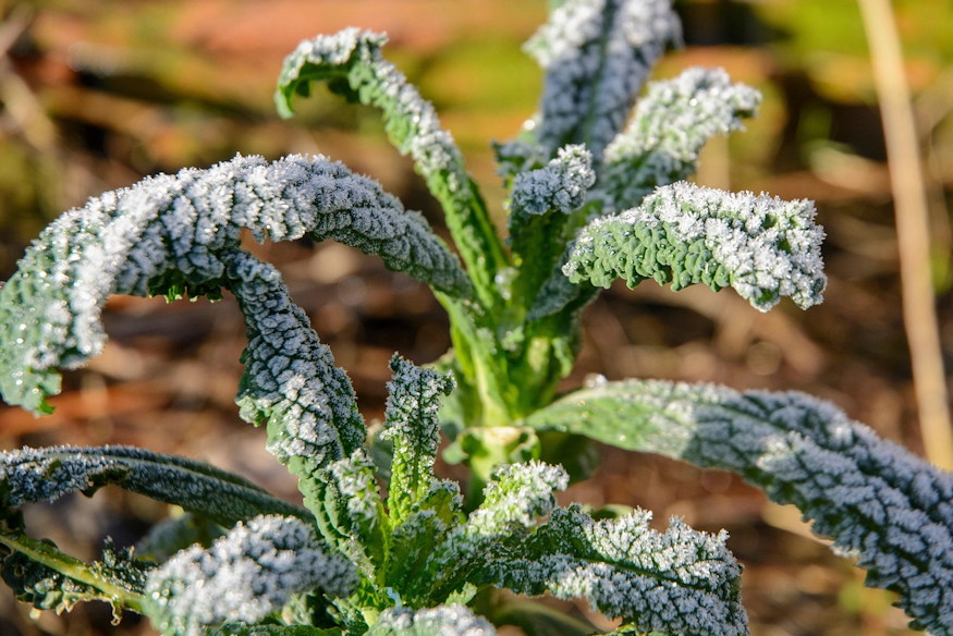 konyhakert nem zar be 05