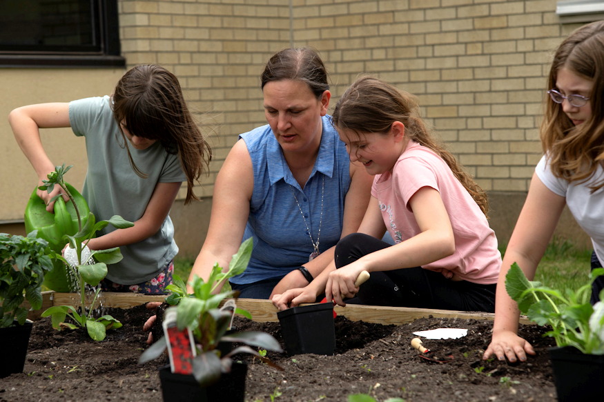 kretat kapara cserelnenk 03