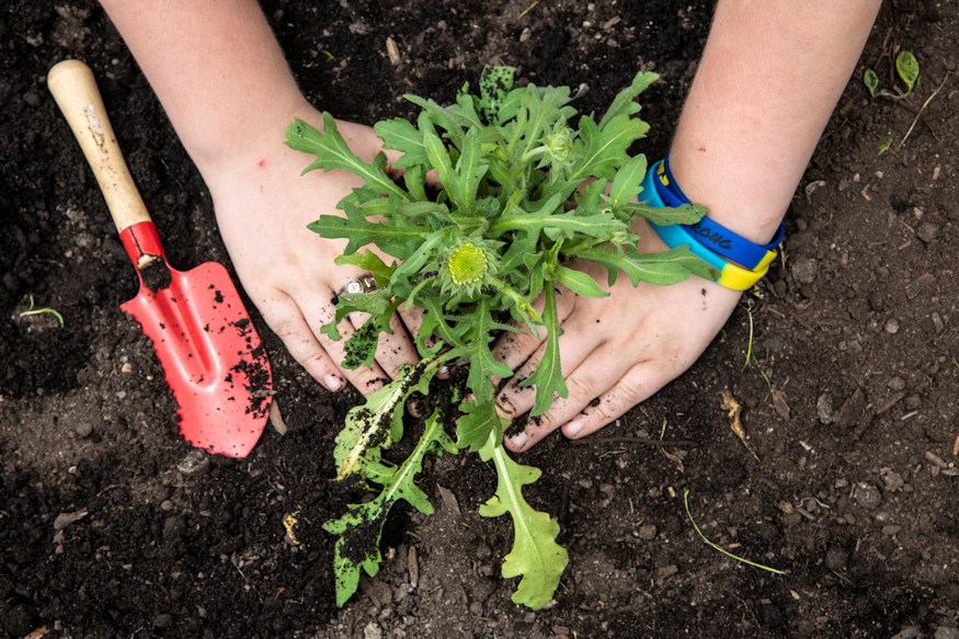 kretat kapara cserelnenk 04